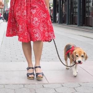 Meet your Posher, Connie